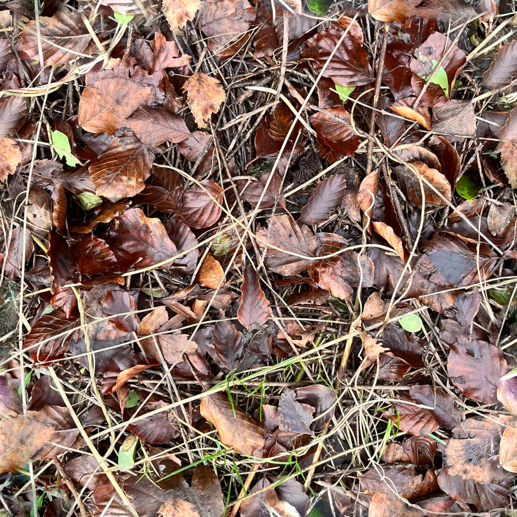 forest_floor_1, Figglewatts