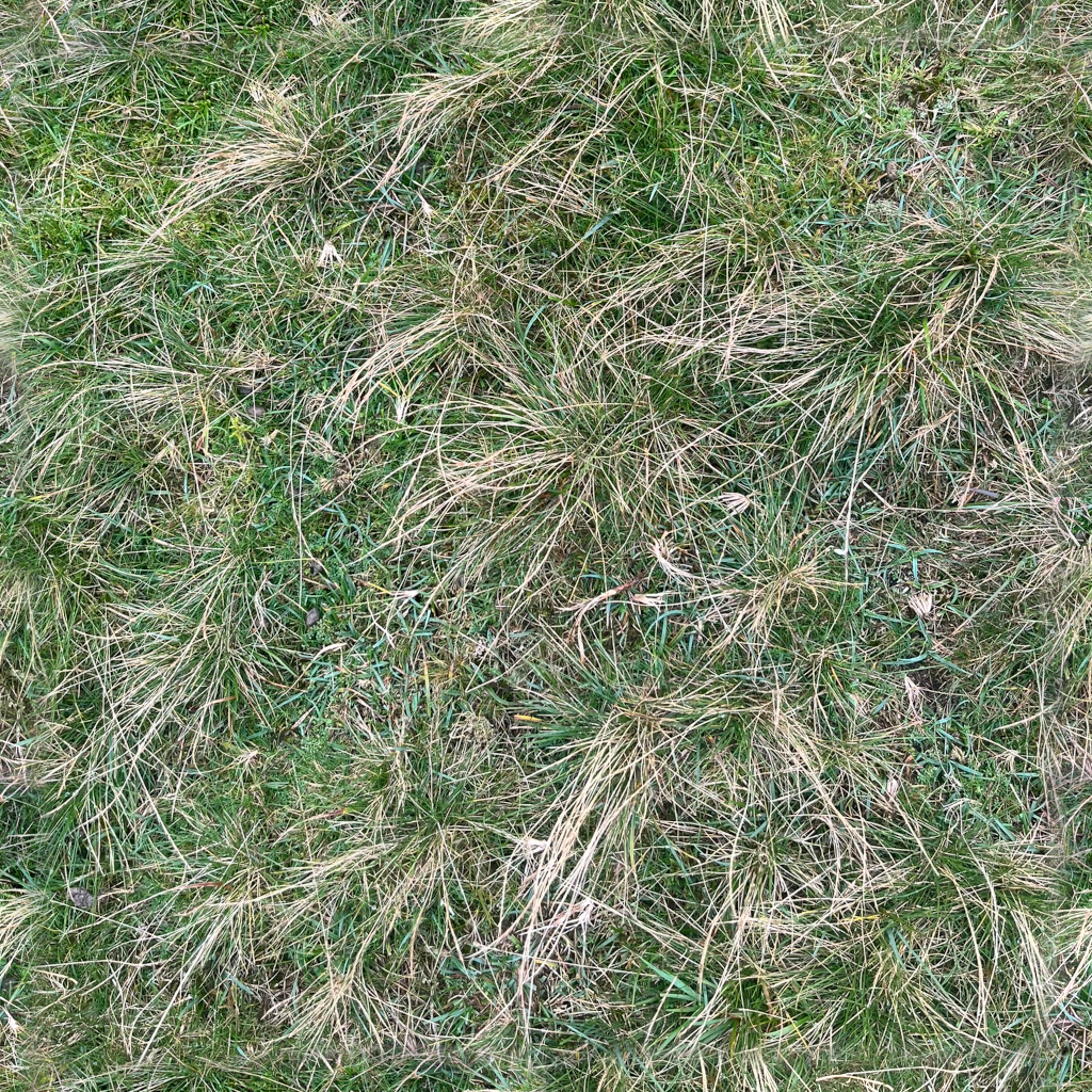 grass_1, Figglewatts